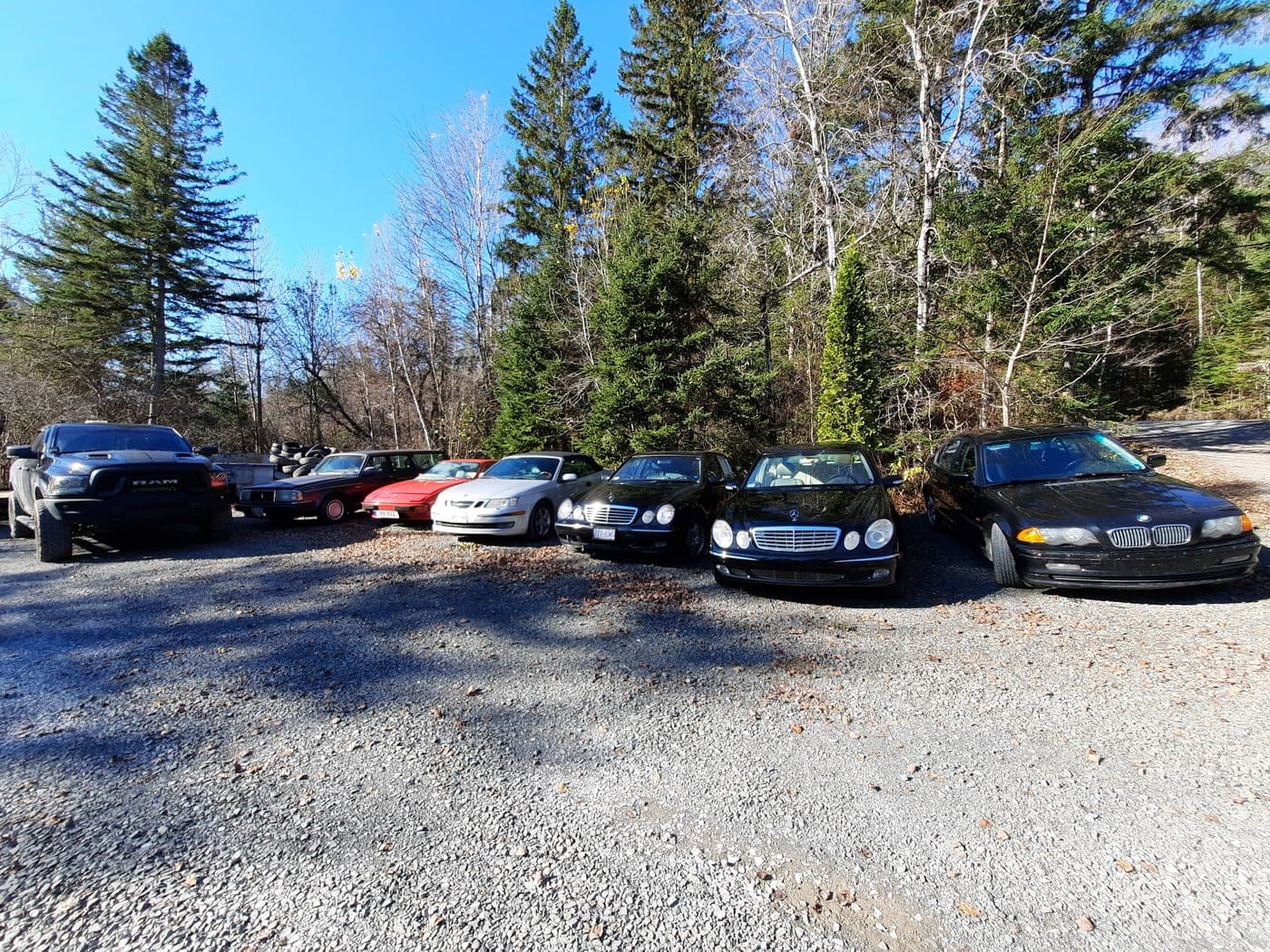 Customer vehicles lined up on the gravel lot beside the treeline